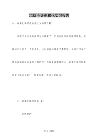 2024会计电算化实习报告_2