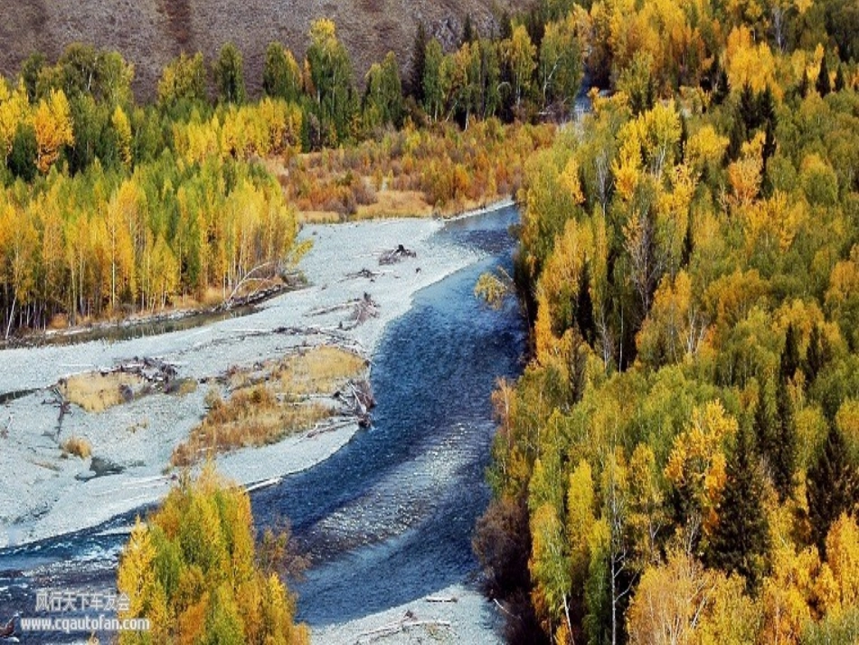 听听，秋的声音PPT课件_第1页