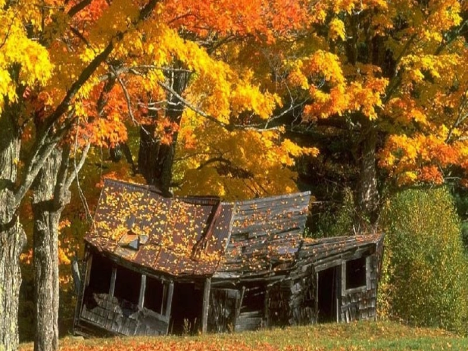 听听，秋的声音PPT课件_第3页