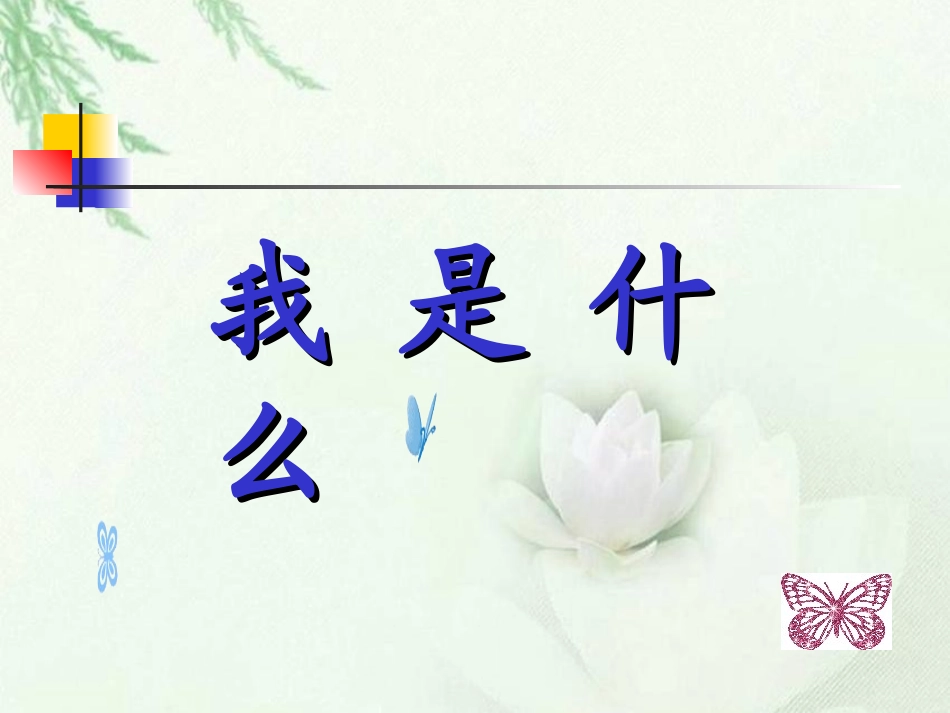 我是什么 (4)_第1页