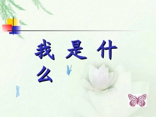 我是什么 (4)