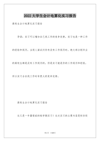 2024大学生会计电算化实习报告_1