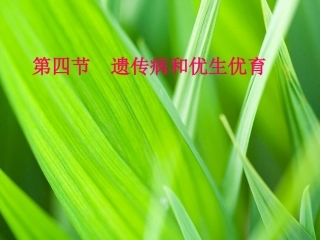 遗传病和优生优育