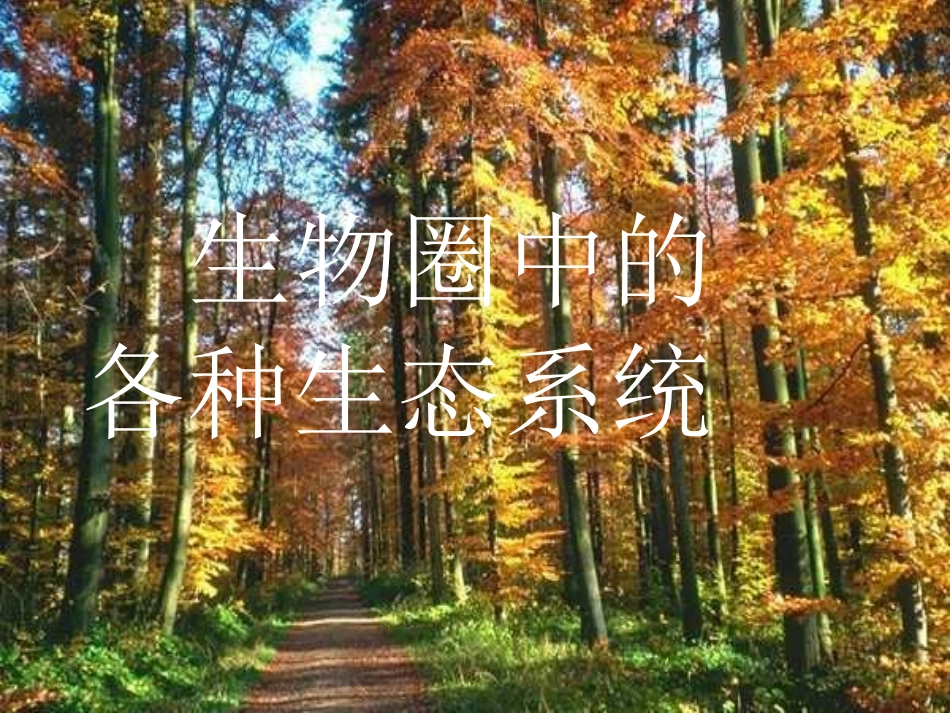 生物圈中的各种生态系统_第1页