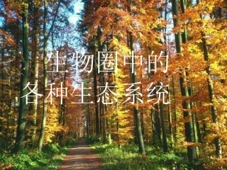 生物圈中的各种生态系统