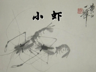 北师大第五册11《小虾》1
