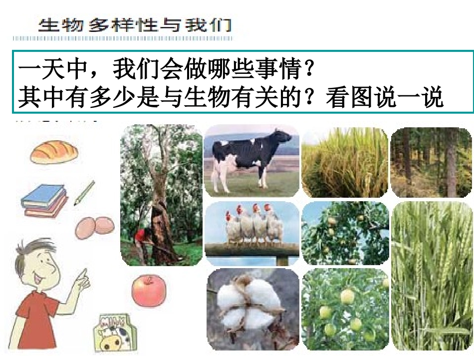 生物多样性的意义_第2页