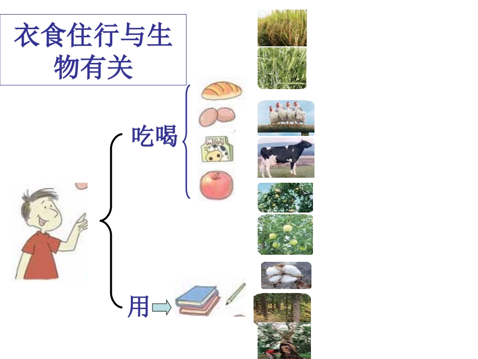 生物多样性的意义_第3页