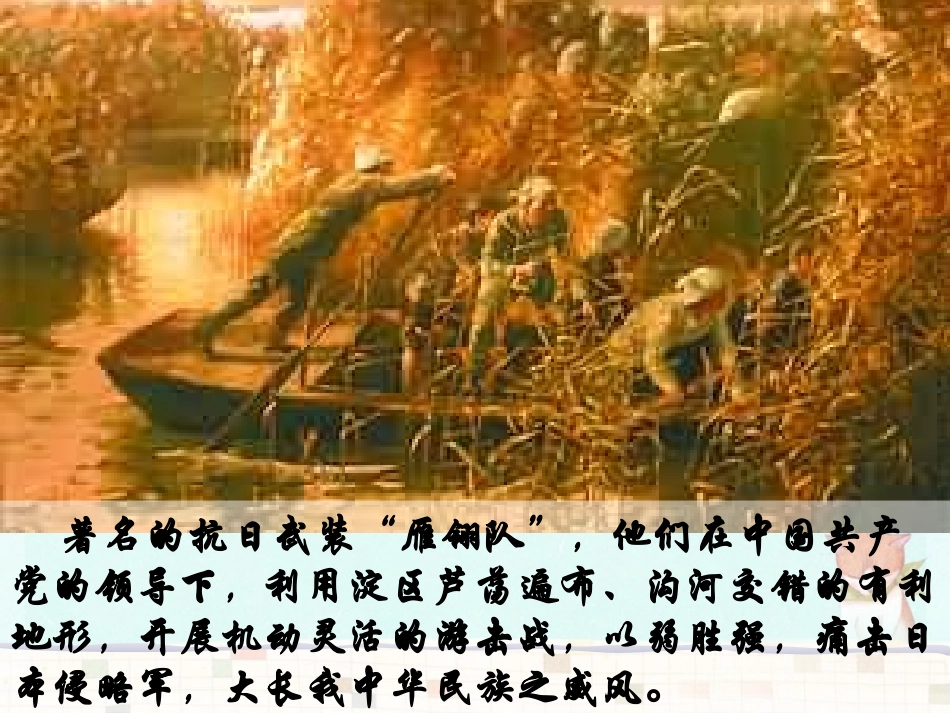 芦花荡(课件2)_第2页