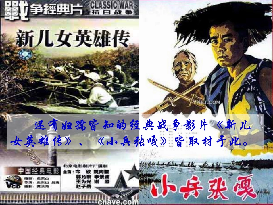 芦花荡(课件2)_第3页