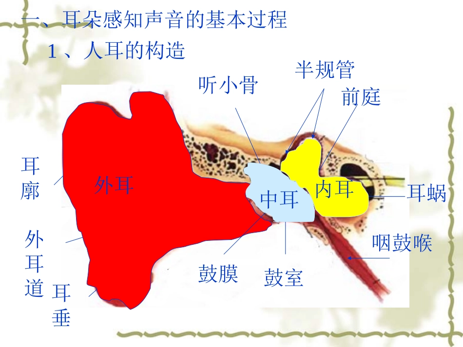 我们是怎样听到声音。_第3页