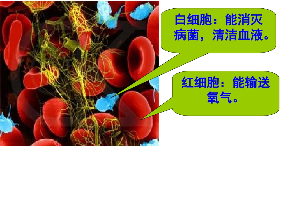 人教版四年级数学上册《整万数改写成以“万”为单位的数》_第1页