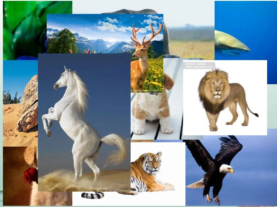 语文园地四课件_第2页