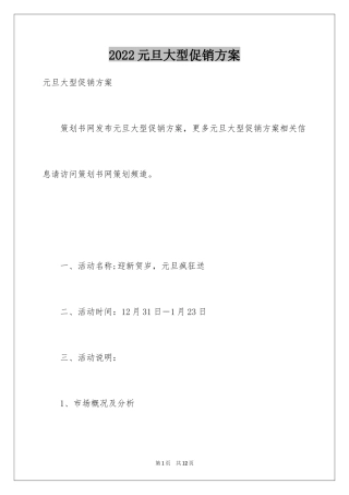2024元旦大型促销方案