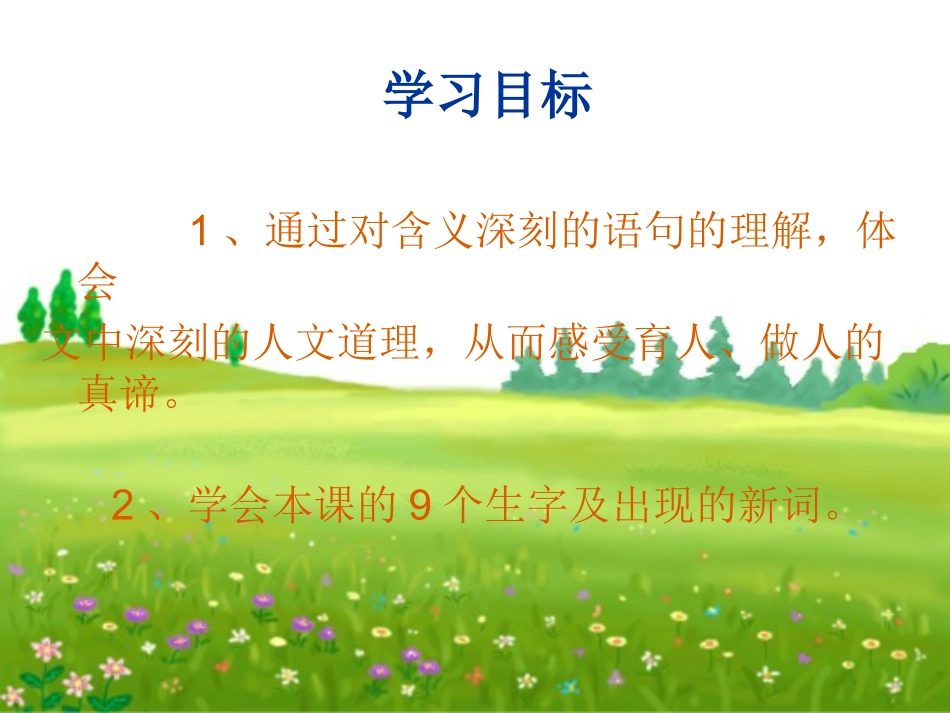 （人教新课标）六年级语文课件桃花心木_第3页