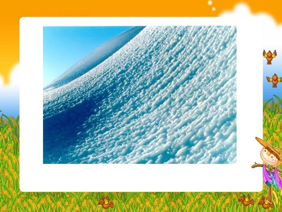 南极一片净土_第3页