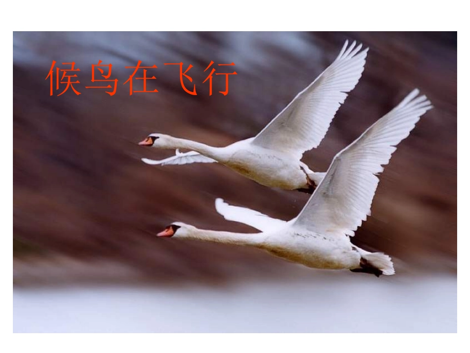 动与静课件沪科版八年级_第3页