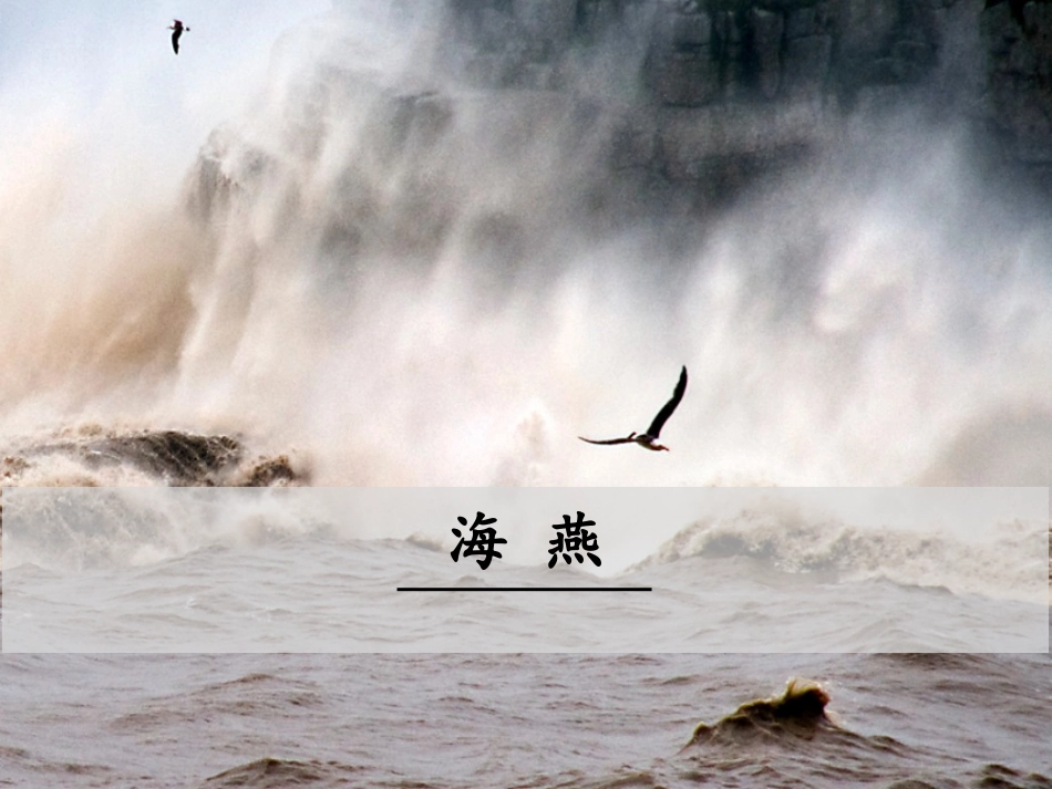 海燕第一课时_第1页