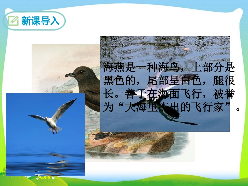 海燕第一课时_第3页