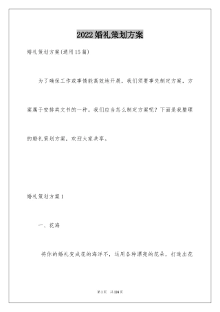 2024婚礼策划方案_17