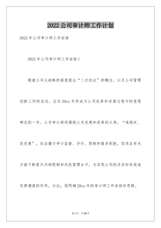 2024公司审计师工作计划_1