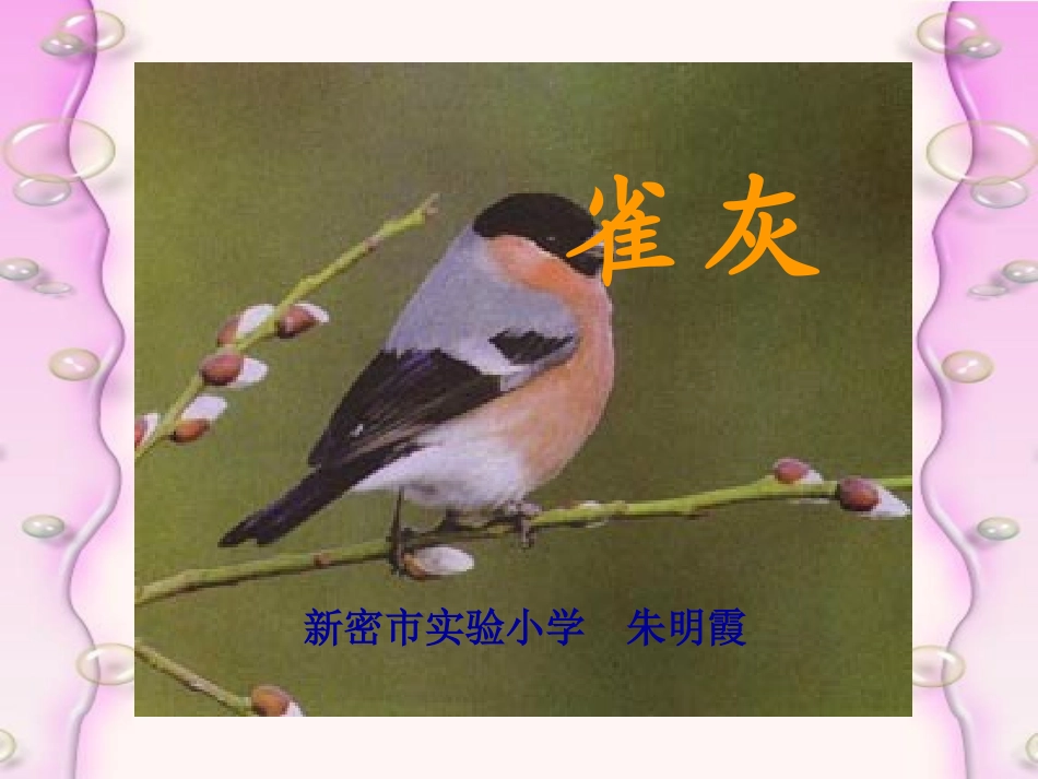 《灰雀》PPT_第1页