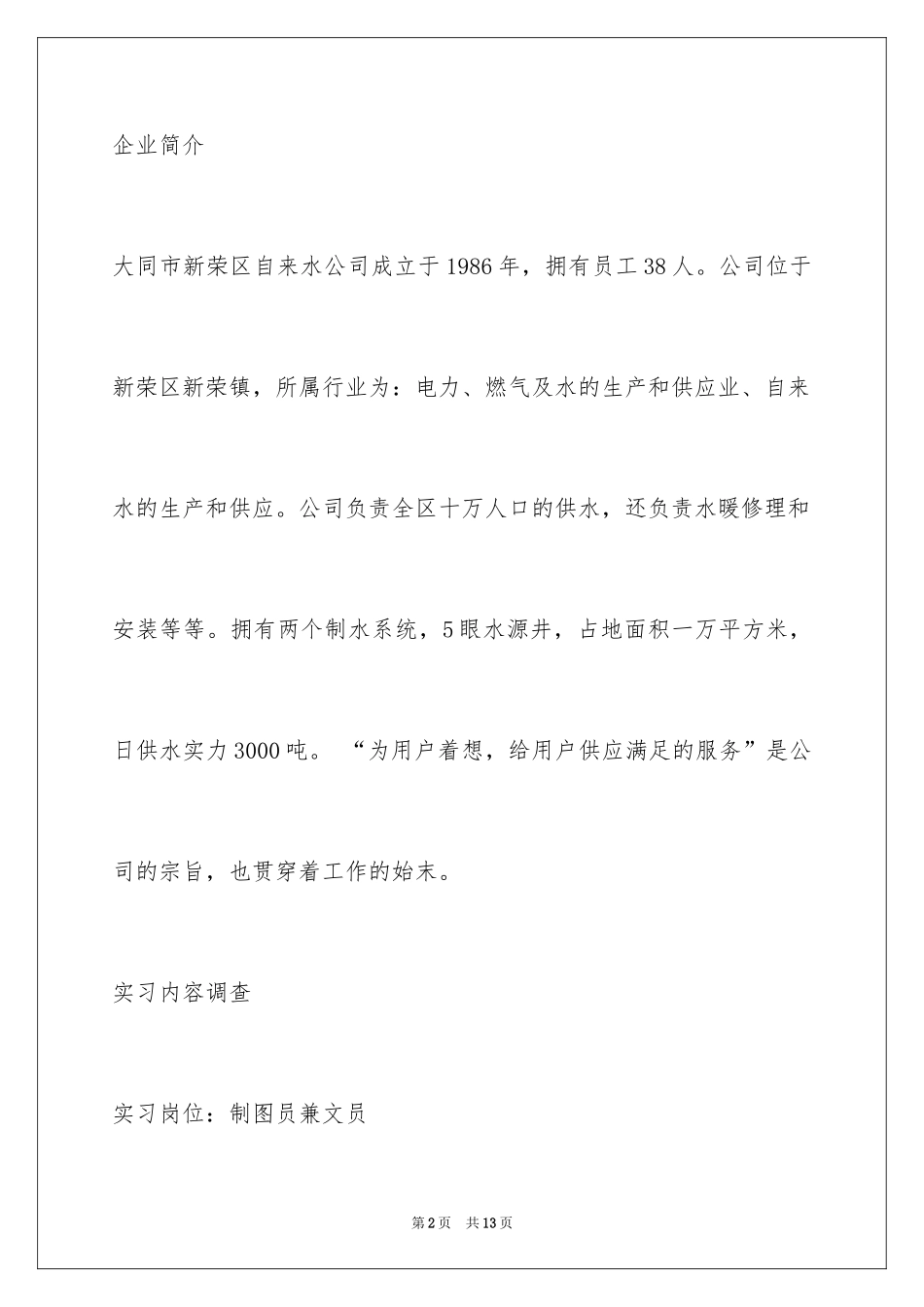 2024大学生文员实习报告_5_第2页