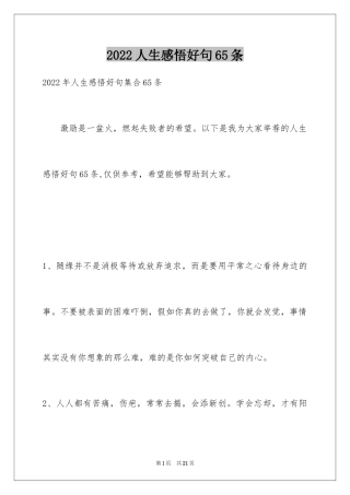 2024人生感悟好句65条