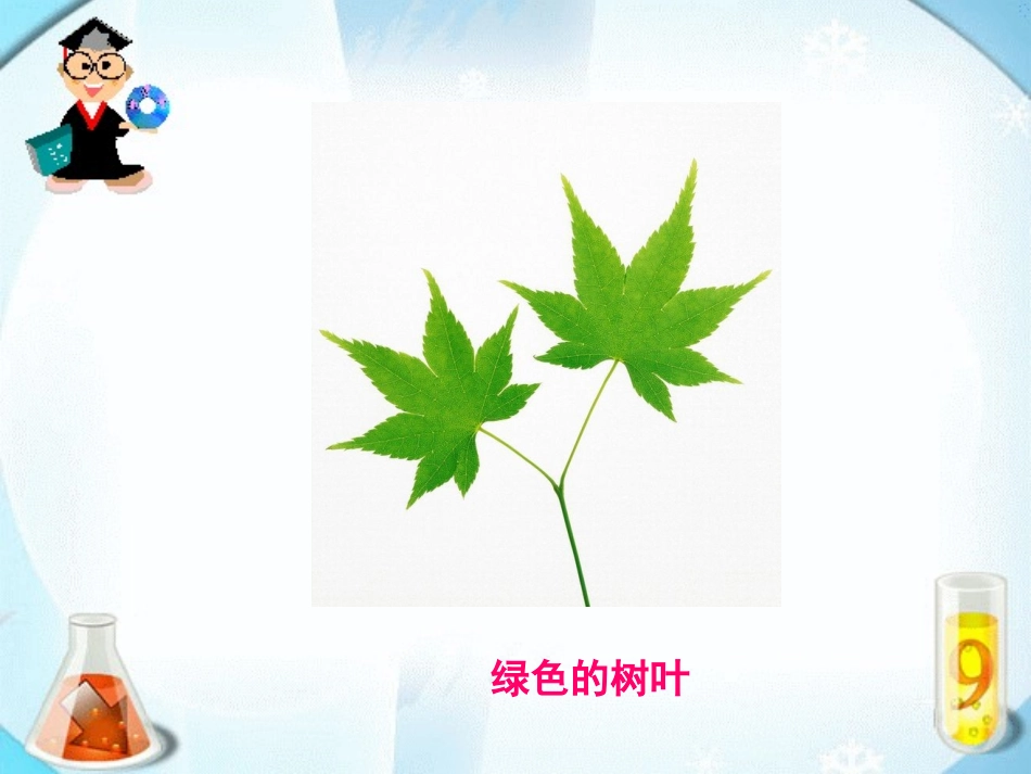人教版小学语文二年级上册19《蓝色的树叶》课件_第3页