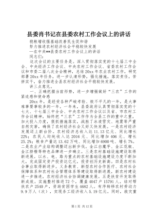 县委肖书记在县委农村工作会议上的讲话发言