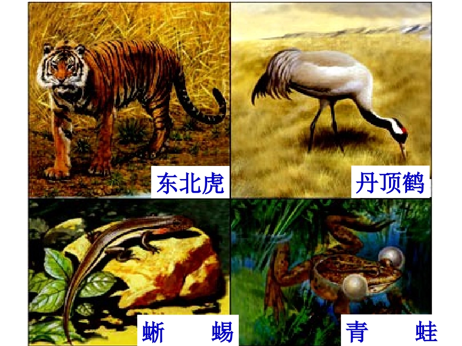 两位数加两位数进位加法 (2)_第2页