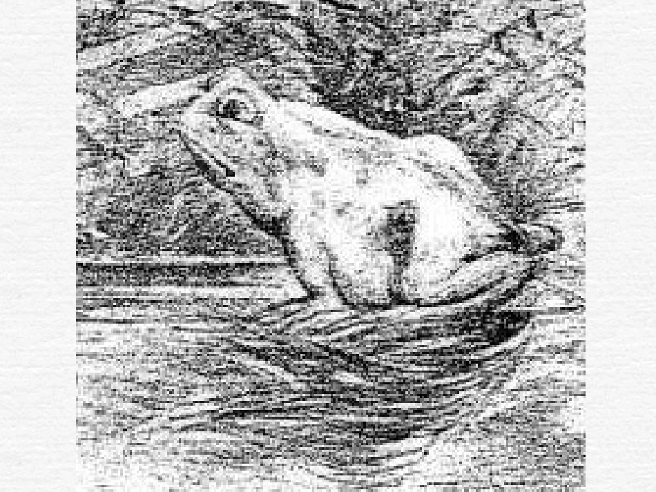 换个角度看问题_第1页