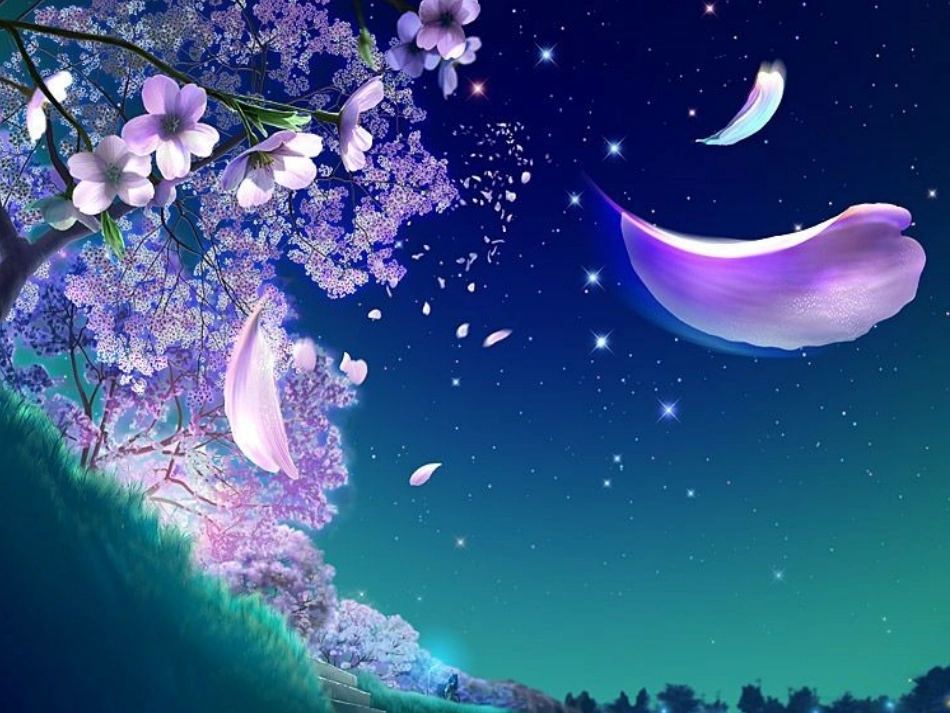 夏夜多美 (2)_第3页