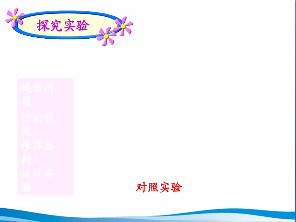 《植物种子的萌发》参考课件_第3页