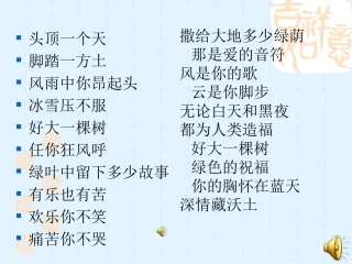 《那树》教学课件（共29张）
