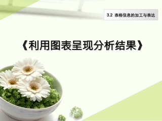 利用图表呈现分析结果