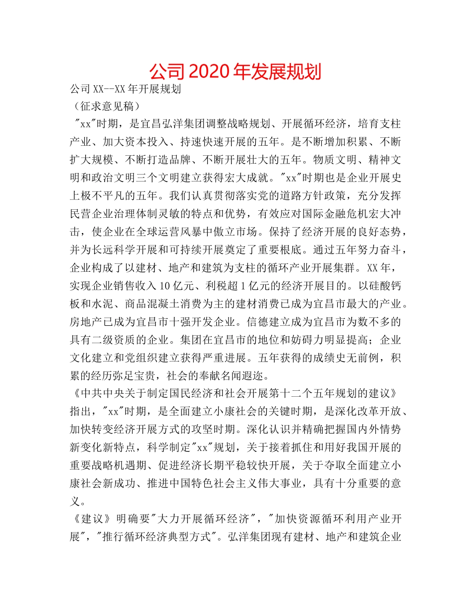 公司2020年发展规划 _第1页