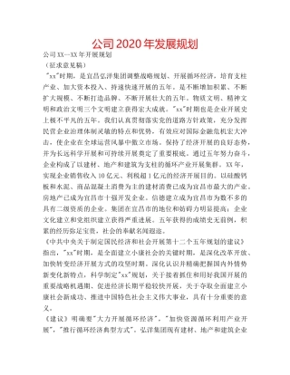 公司2020年发展规划 