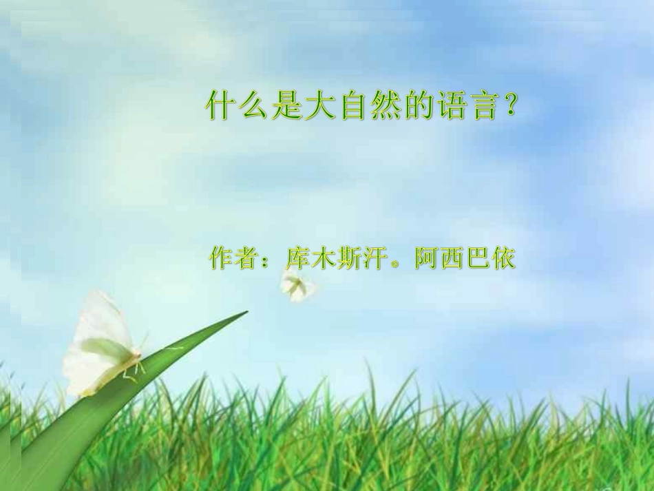 库木斯汗阿西巴依语文课件大自然的语言教学课件_第1页