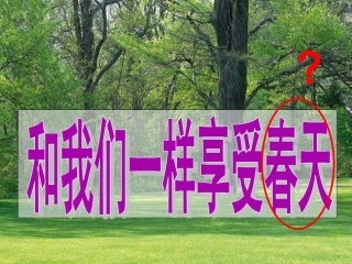 《和我们一样享受春天》课件1