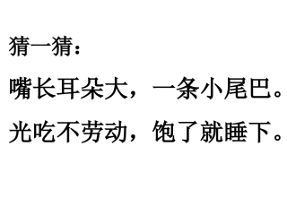 绘本故事《小猪变形记》定稿