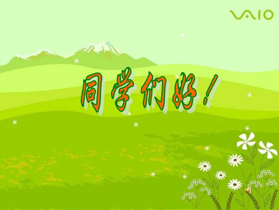 生动的外貌描写_第1页