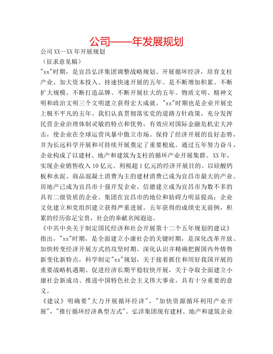 公司——年发展规划 _第1页