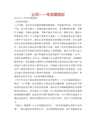 公司——年发展规划 