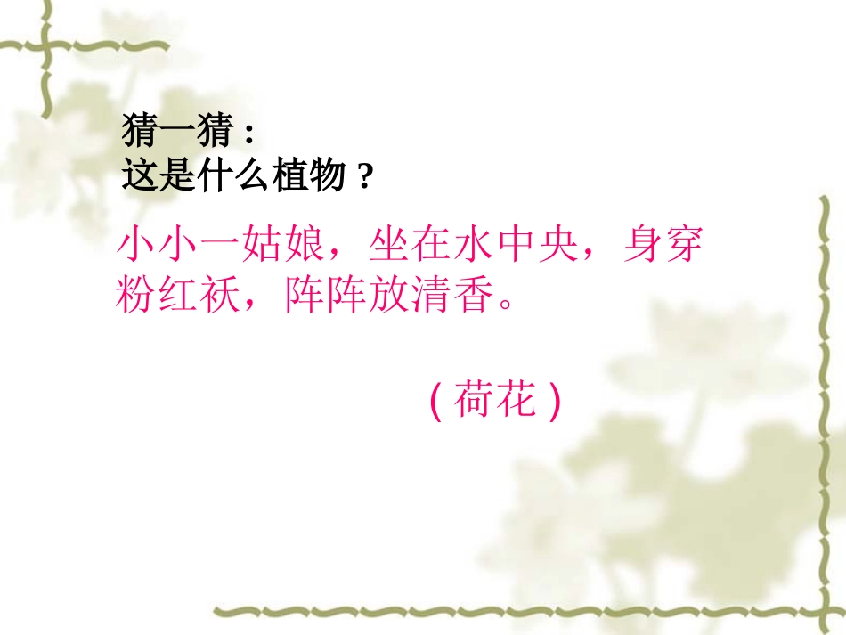 《莲文化的魅力》课件_第1页