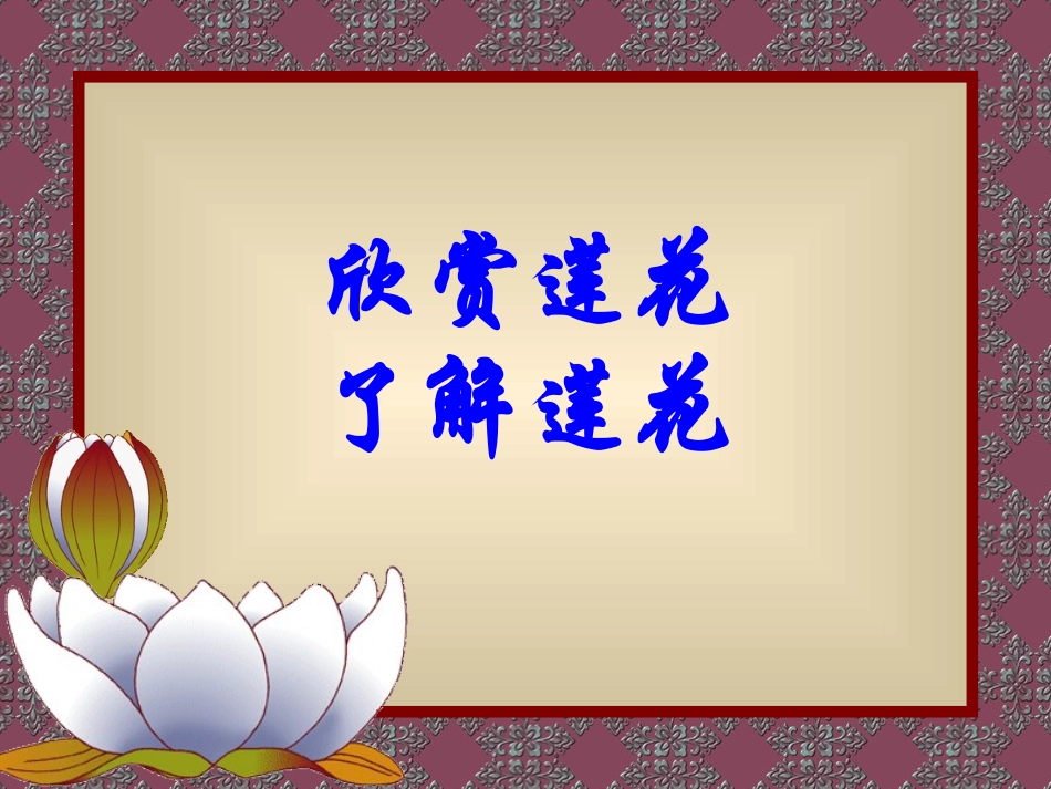 《莲文化的魅力》课件_第3页