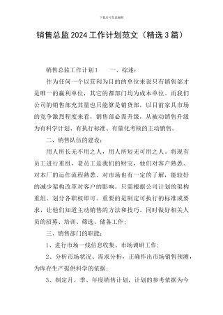 销售总监2024工作计划范文