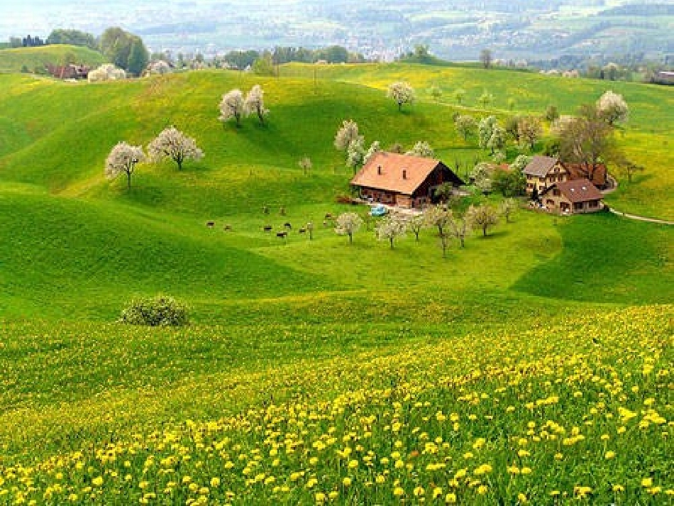 一个小村庄的故事 _第2页