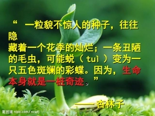 《生命生命》课件济源市黄河路小学毛艳霞