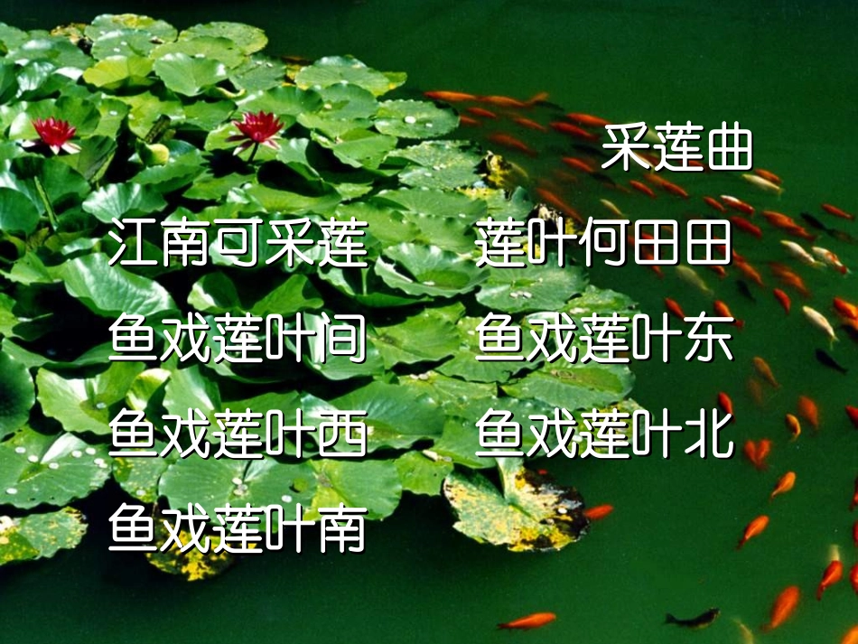 《爱莲说》课件2_第3页
